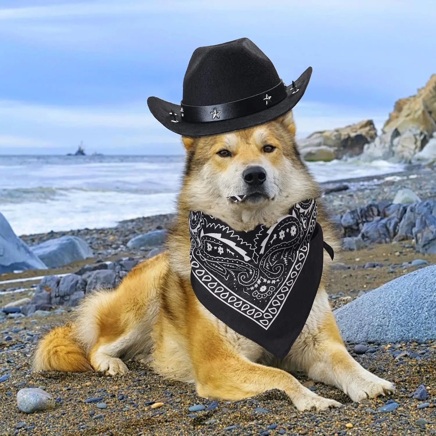 1 ensemble chien chat taille animal de compagnie chapeau de cowboy et bandana écharpe West accessoires pour chats chiens fête festival port quotidien