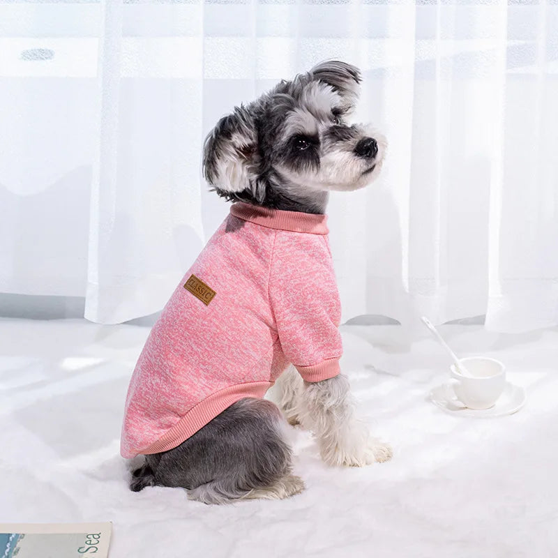 Veste d'hiver chaude pour chiots et chats, vĂȘtements pour petits chiens, chihuahuas, schnauzers, carlins, sweat-shirts, costumes dĂ©contractĂ©s pour animaux de compagnie