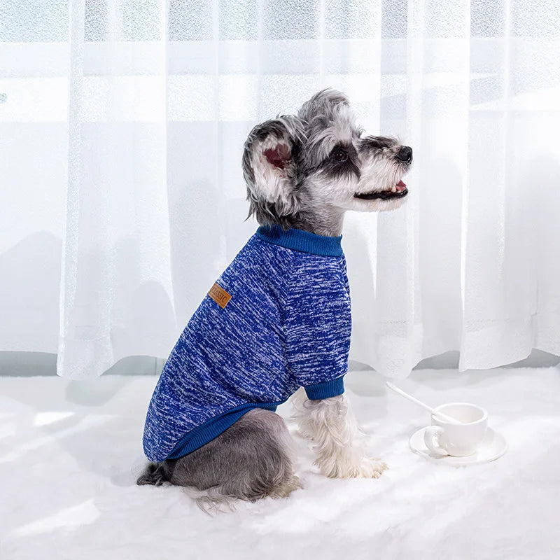 Veste d'hiver chaude pour chiots et chats, vĂȘtements pour petits chiens, chihuahuas, schnauzers, carlins, sweat-shirts, costumes dĂ©contractĂ©s pour animaux de compagnie
