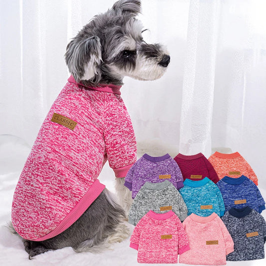 VĂȘtements d'hiver pour petits chiens, manteaux chauds pour chihuahuas, schnauzers, carlins, sweat-shirts, vĂȘtements dĂ©contractĂ©s pour chiens et chats, accĂšs pour animaux de compagnie