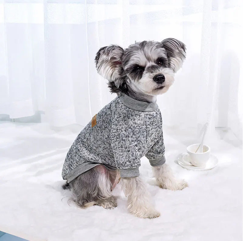 VĂȘtements d'hiver pour petits chiens, manteaux chauds pour chihuahuas, schnauzers, carlins, sweat-shirts, vĂȘtements dĂ©contractĂ©s pour chiens et chats, accĂšs pour animaux de compagnie