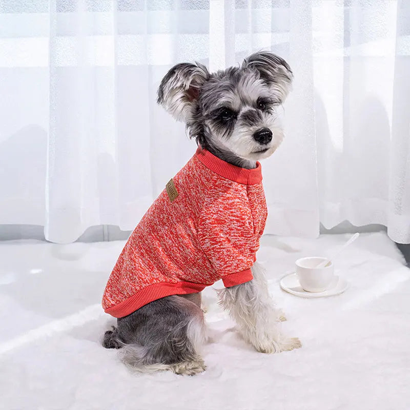 VĂȘtements d'hiver pour petits chiens, manteaux chauds pour chihuahuas, schnauzers, carlins, sweat-shirts, vĂȘtements dĂ©contractĂ©s pour chiens et chats, accĂšs pour animaux de compagnie