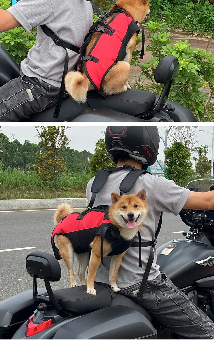 Sac à dos de voyage pour animaux de compagnie (3 tailles), porte-épaule, randonnée en plein air, marche, Durable et confortable, en tissu Oxford, pour chien/chat