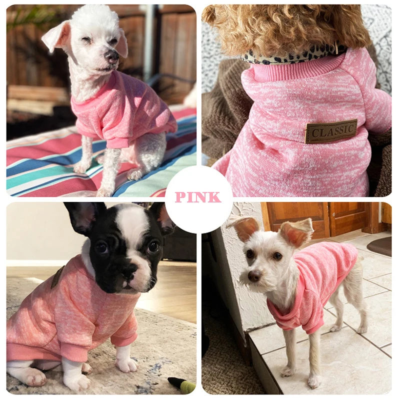 Veste d'hiver chaude pour chiots et chats, vĂȘtements pour petits chiens, chihuahuas, schnauzers, carlins, sweat-shirts, costumes dĂ©contractĂ©s pour animaux de compagnie