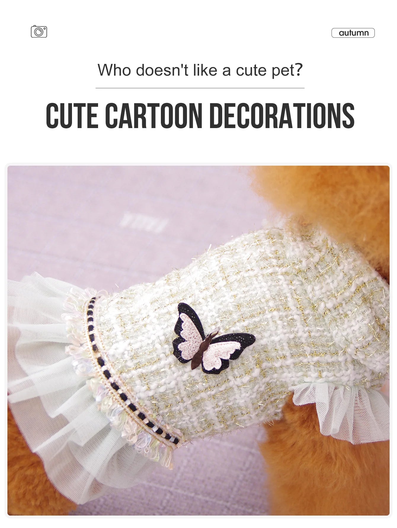 Vêtements pour chien : robe et veste de princesse, adaptés aux caniches, bichons maltais et yorkshires terriers, au printemps et en automne.