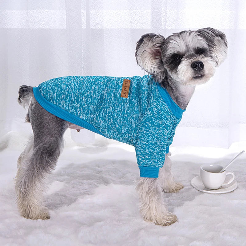 VĂȘtements d'hiver pour petits chiens, manteaux chauds pour chihuahuas, schnauzers, carlins, sweat-shirts, vĂȘtements dĂ©contractĂ©s pour chiens et chats, accĂšs pour animaux de compagnie