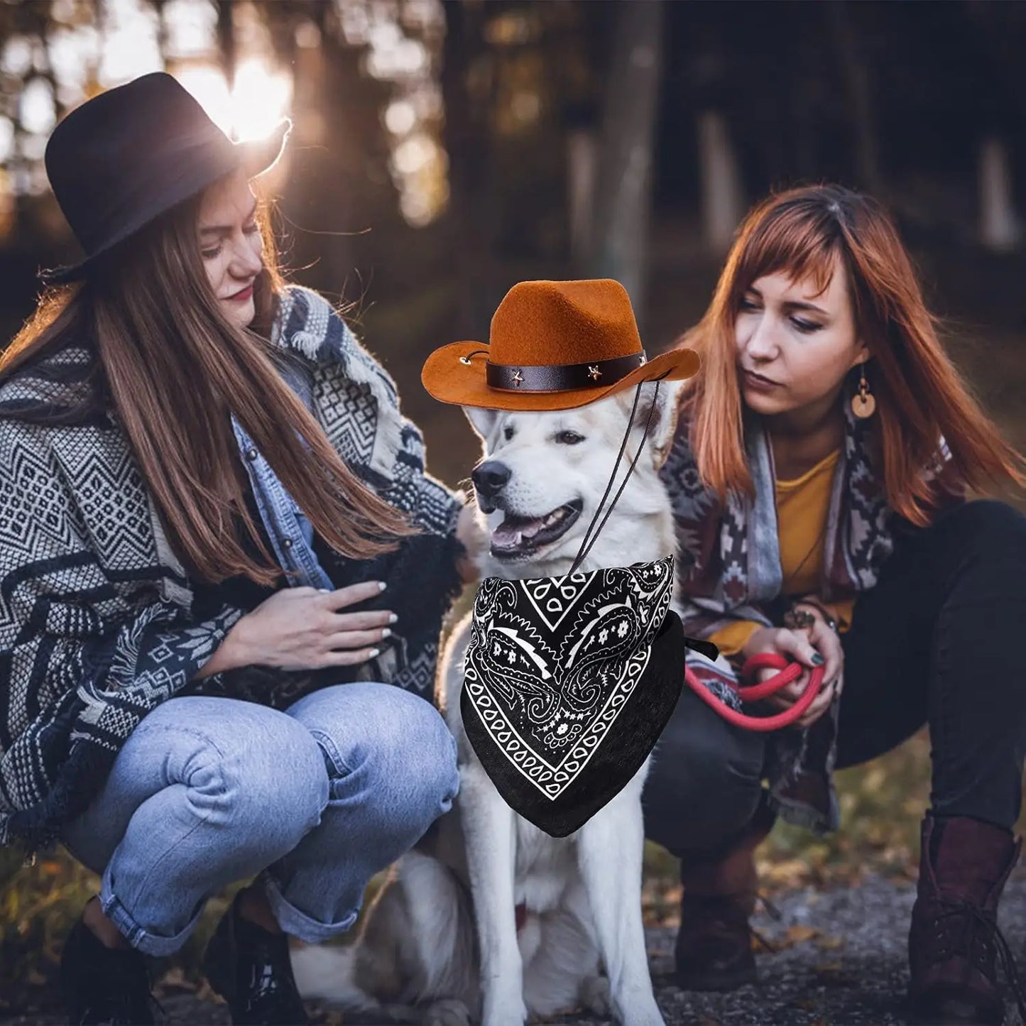 1 ensemble chien chat taille animal de compagnie chapeau de cowboy et bandana écharpe West accessoires pour chats chiens fête festival port quotidien