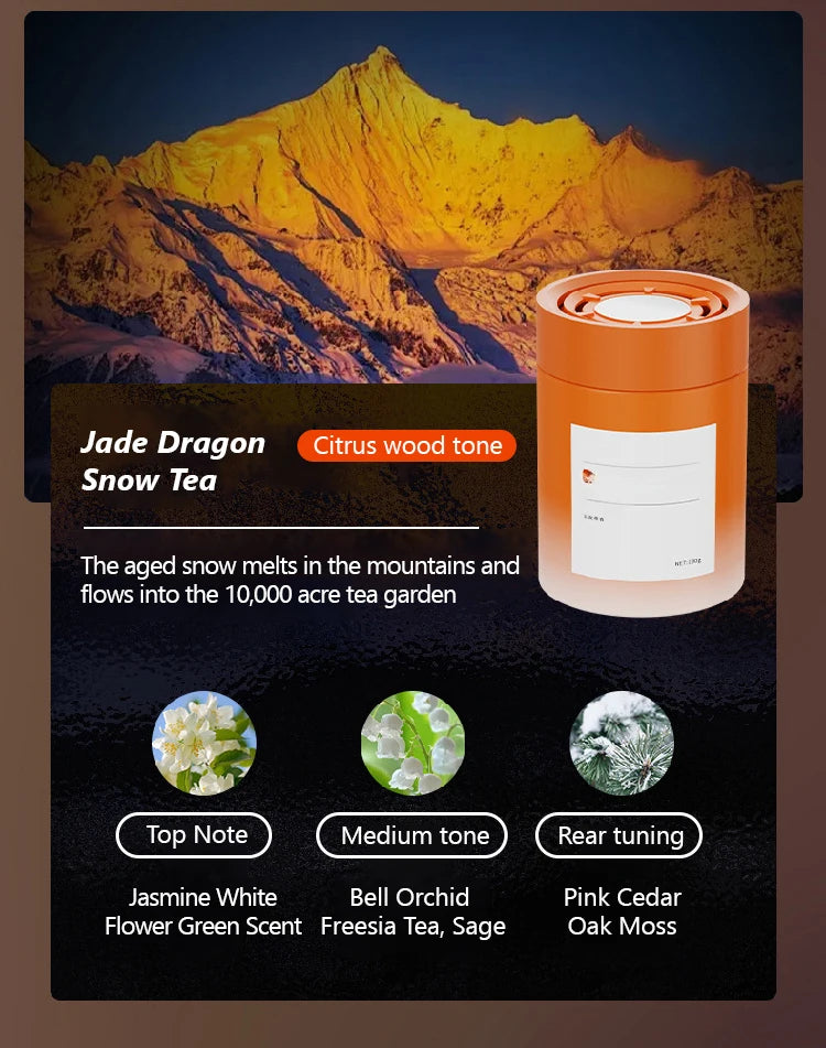 Aromathérapie légère spécifique aux voitures de luxe, élégante et fraîche, désodorisante et parfumée, aromathérapie automobile haut de gamme