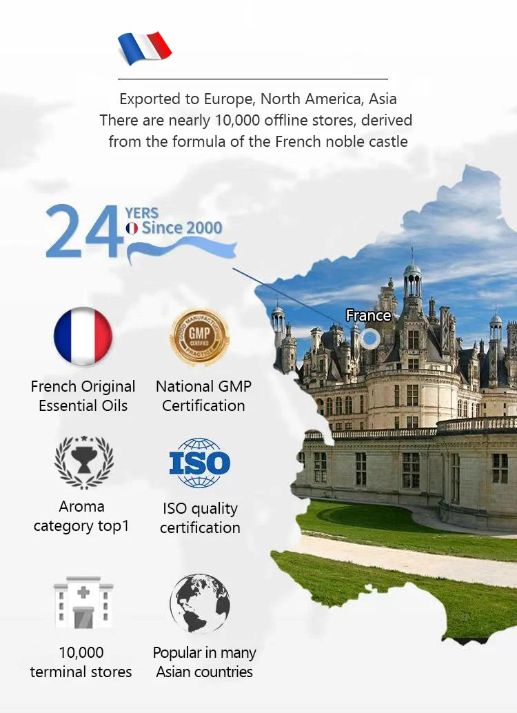 Aromathérapie légère spécifique aux voitures de luxe, élégante et fraîche, désodorisante et parfumée, aromathérapie automobile haut de gamme