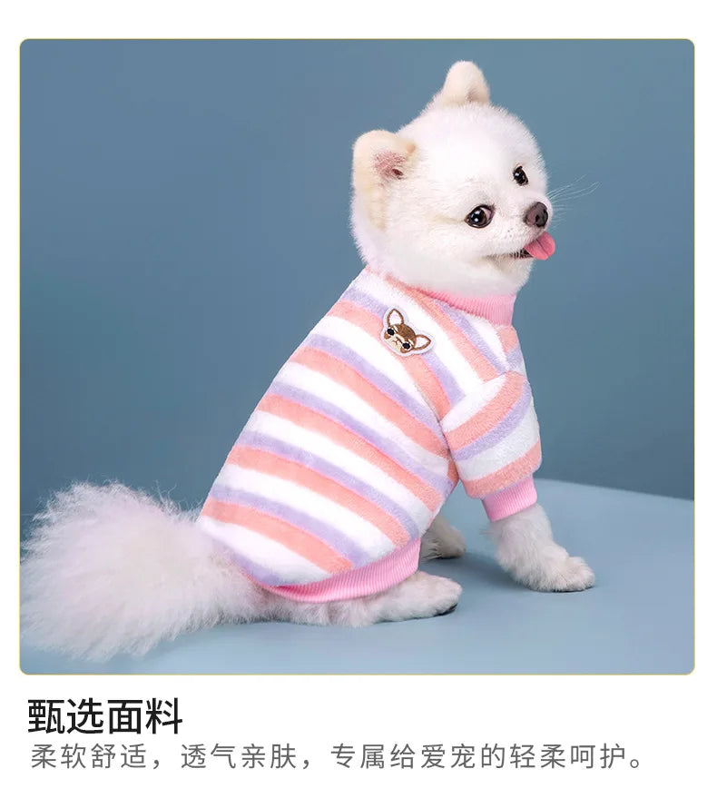Vêtements pour animaux de compagnie à rayures arc-en-ciel d'automne et d'hiver, vêtements mignons et chauds pour chats en peluche, fournitures pour chiens, sweat à capuche pour chien, costume Schnauzer