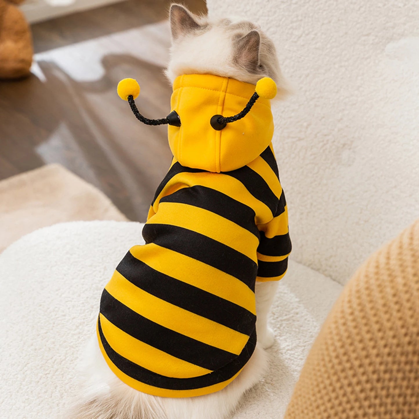 Costume de chat, abeille, costume d'Halloween, vêtements pour petits animaux, mode, adorables sweats à capuche pour chats