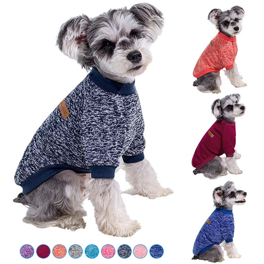 Veste d'hiver chaude pour chiots et chats, vĂȘtements pour petits chiens, chihuahuas, schnauzers, carlins, sweat-shirts, costumes dĂ©contractĂ©s pour animaux de compagnie