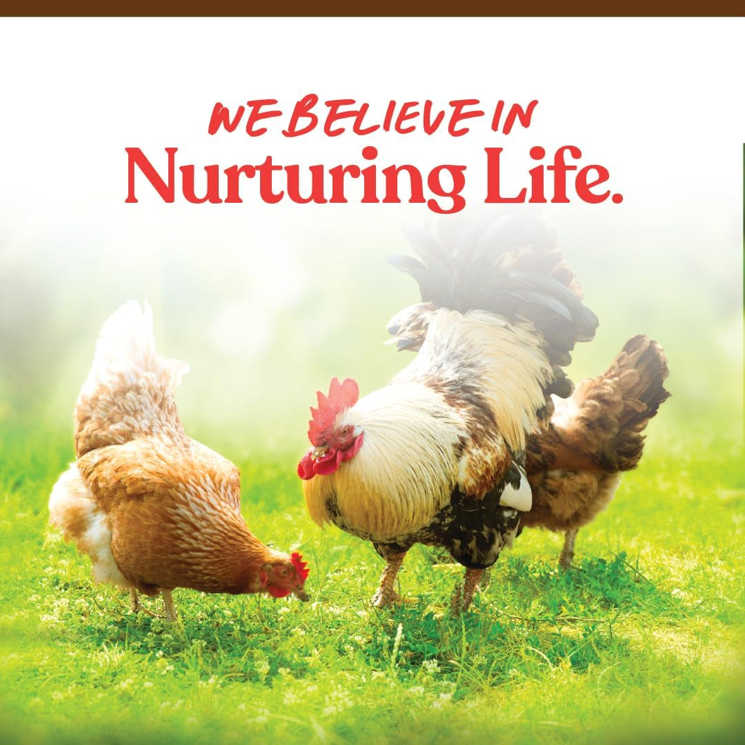 0013690219 Harvest Delight Poultry Treat for Chicken, 2.5-Pound