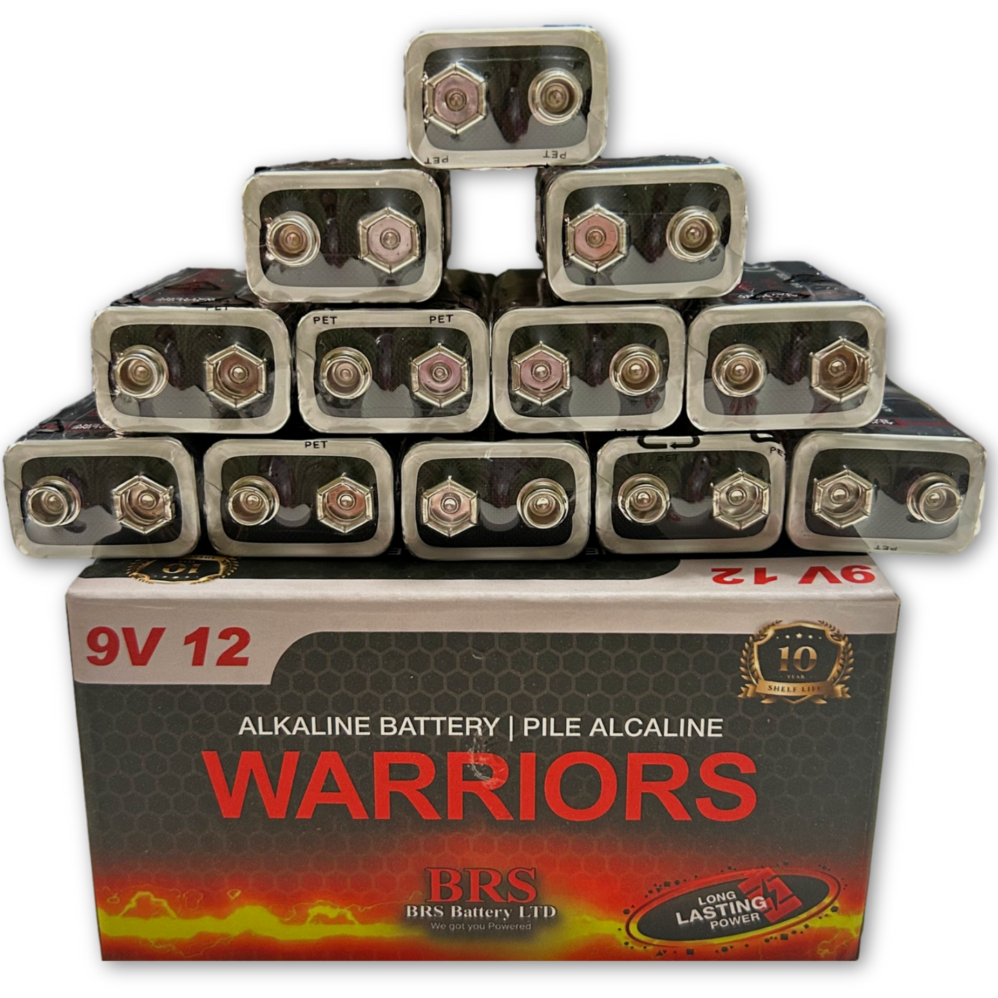 BRS 9V Alkaline Batteries — 12‑Pack (BRS6LR619V)