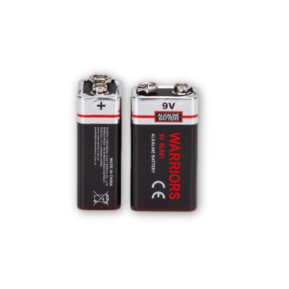 BRS 9V Alkaline Batteries — 12‑Pack (BRS6LR619V)