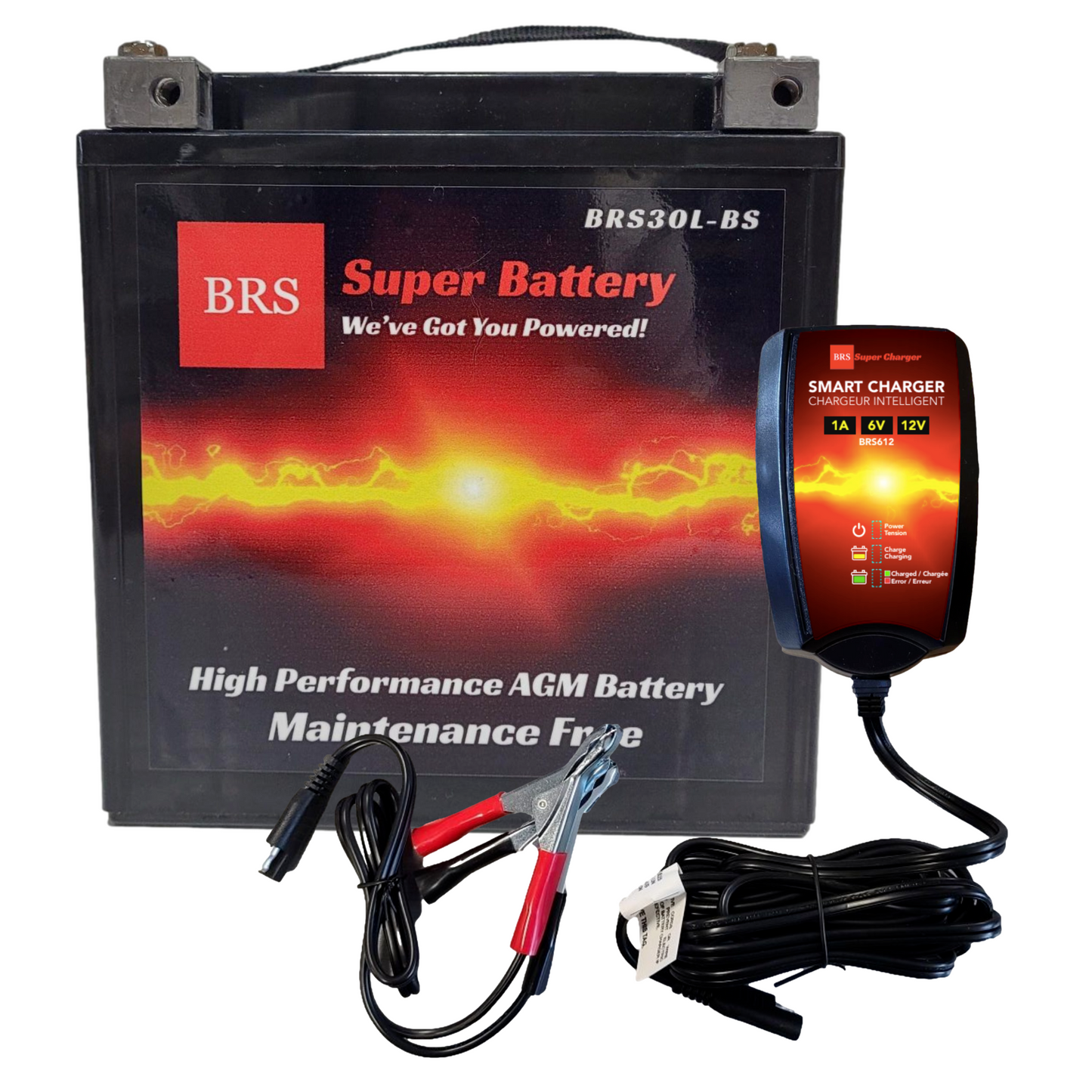 BRS30L-BS 30 Day Warranty Battery & Smart Charger / Maintainer Combo Bundle Kit