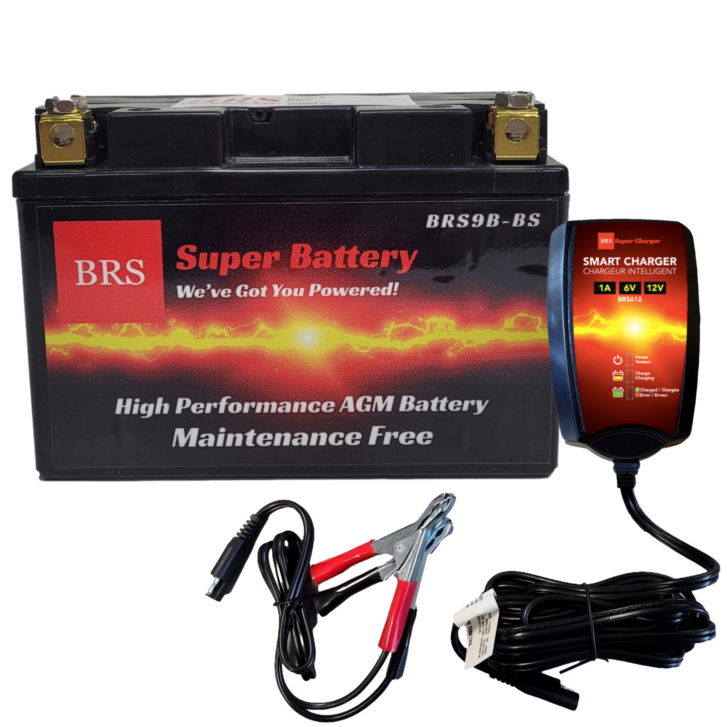 BRS9B-BS 30 Day Warranty Battery & Smart Charger / Maintainer Combo Bundle Kit