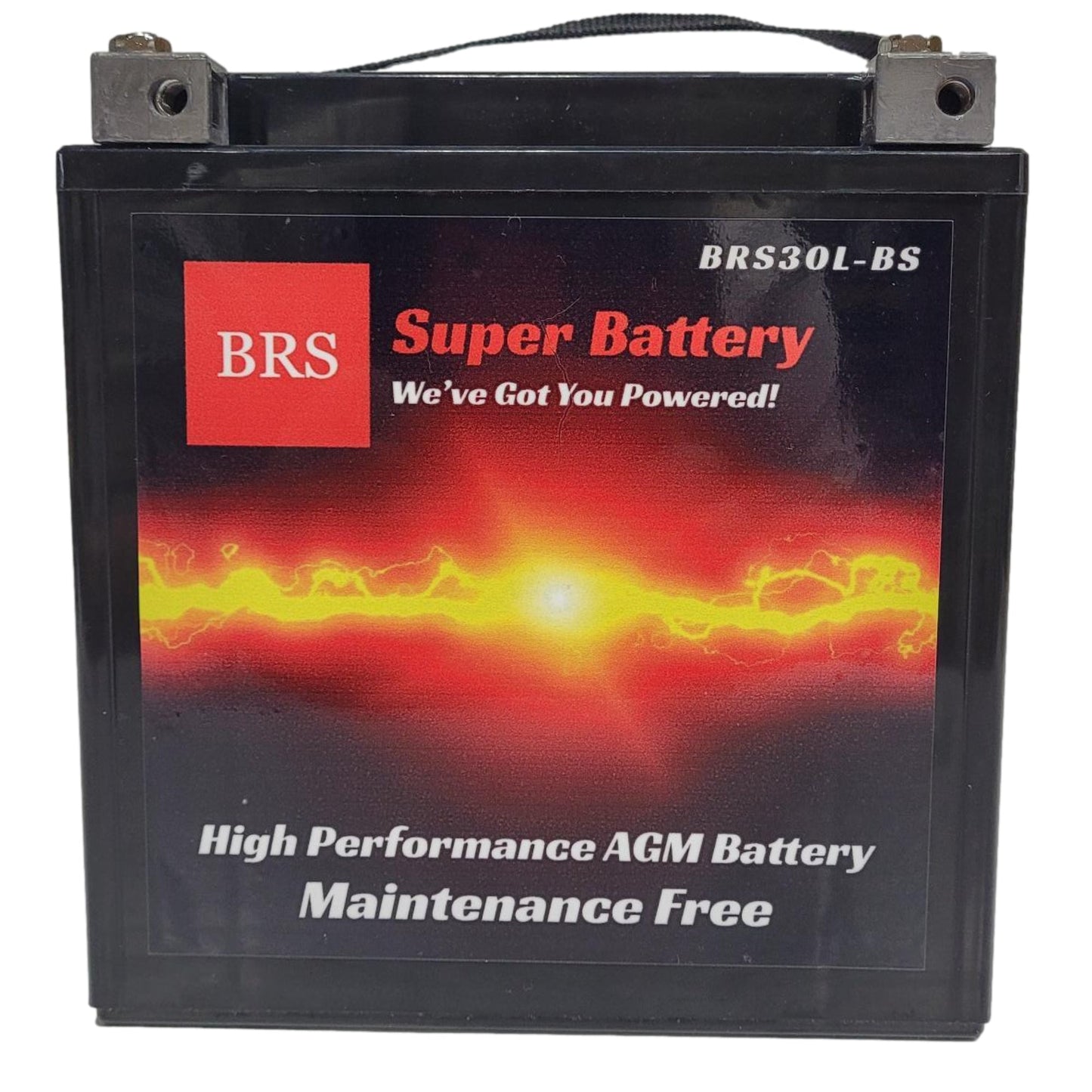 BRS30L-BS 30 Day Warranty Battery & Smart Charger / Maintainer Combo Bundle Kit