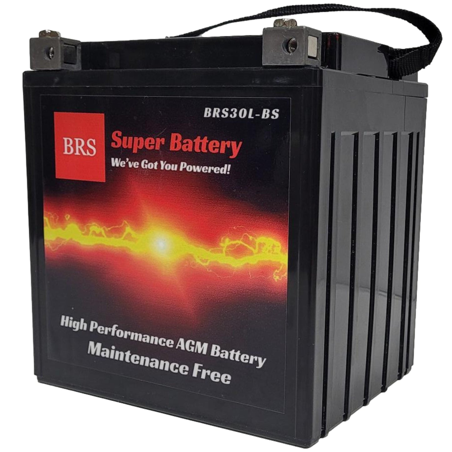BRS30L-BS 30 Day Warranty Battery & Smart Charger / Maintainer Combo Bundle Kit