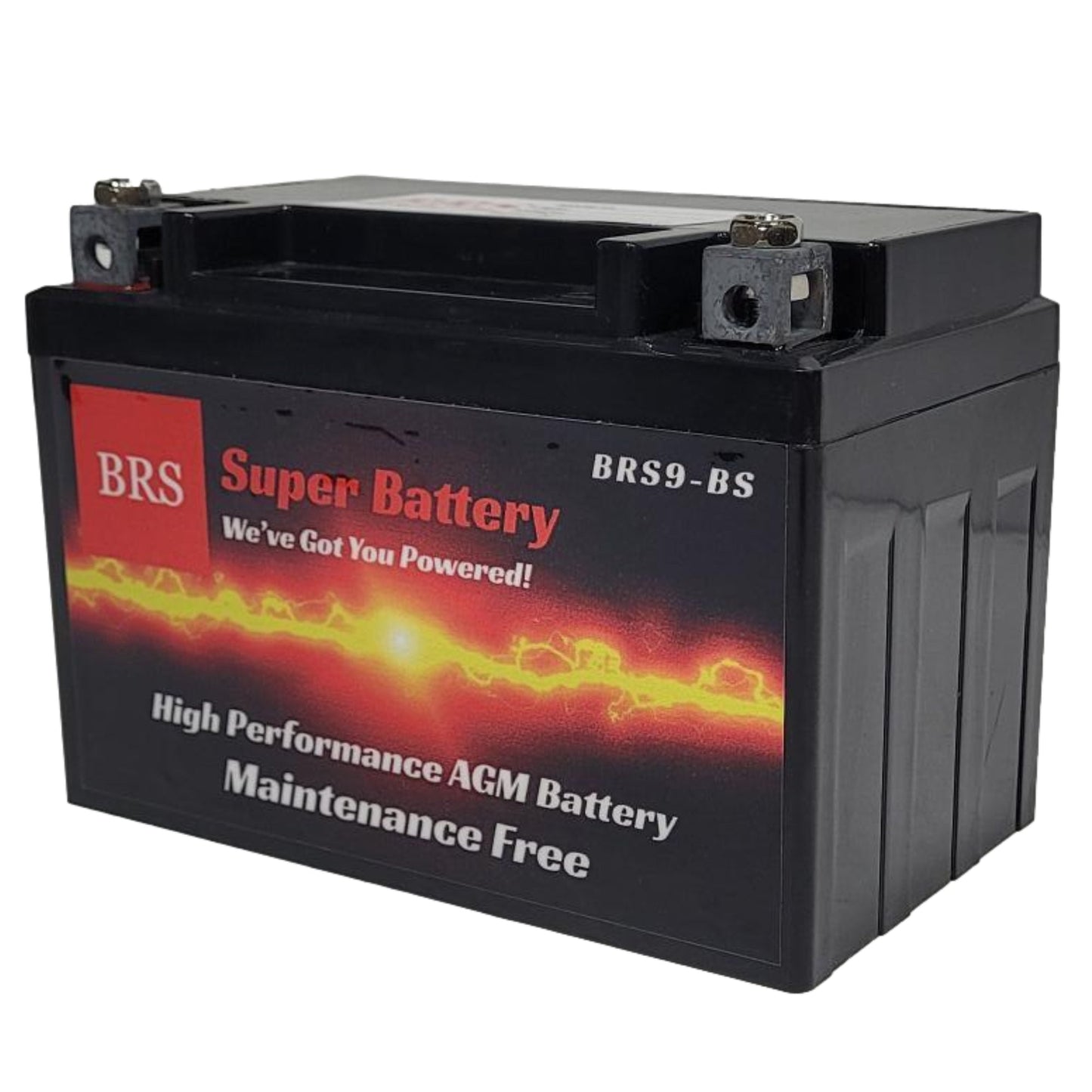 High Performance BRS9-BS 2 Year Warranty & Smart Charger / Maintainer Combo Bundle Kit 12v Sealed AGM PowerSports Battery