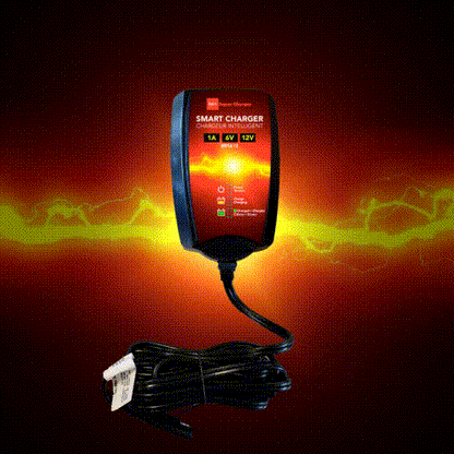 BRS Super Charger BRS612 - 6V/12V Trickle Charger - Battery Maintainer & Rejuvenator
