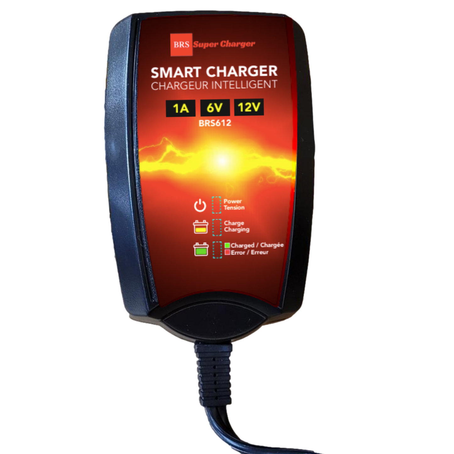 BRS30L-BS 30 Day Warranty Battery & Smart Charger / Maintainer Combo Bundle Kit