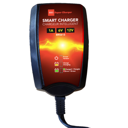 BRS30L-BS 30 Day Warranty Battery & Smart Charger / Maintainer Combo Bundle Kit