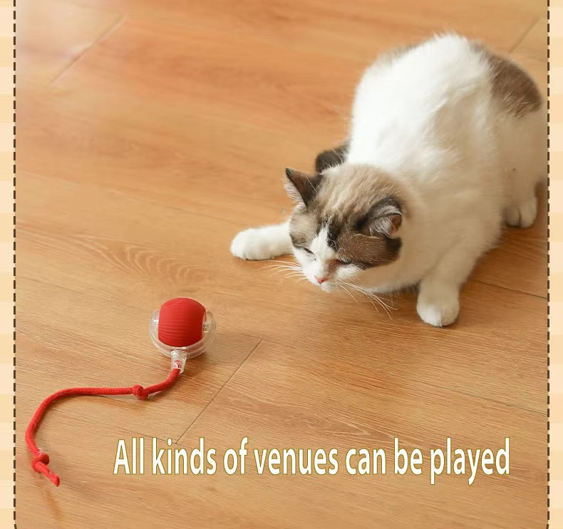 Vibrating Bouncing Ball – Interactive Toy for Cats & Dogs