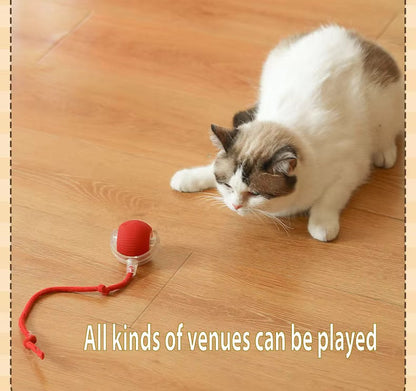 Vibrating Bouncing Ball – Interactive Toy for Cats & Dogs