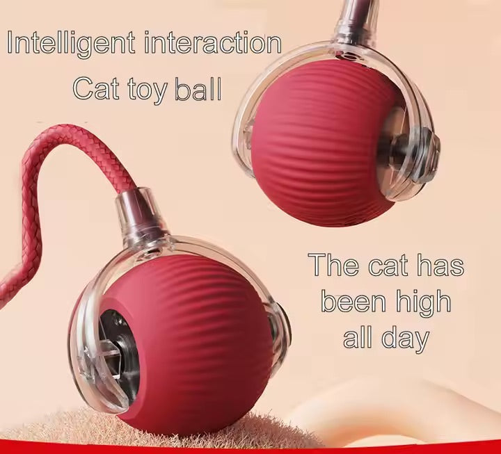 Vibrating Bouncing Ball – Interactive Toy for Cats & Dogs