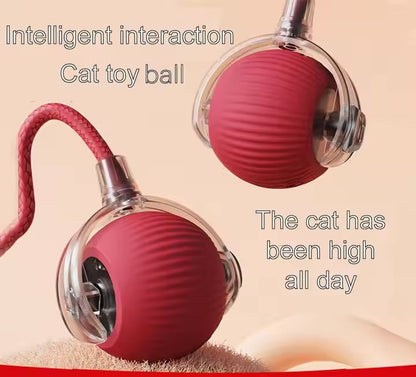 Vibrating Bouncing Ball – Interactive Toy for Cats & Dogs