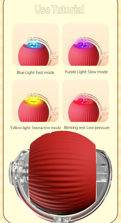 Vibrating Bouncing Ball – Interactive Toy for Cats & Dogs