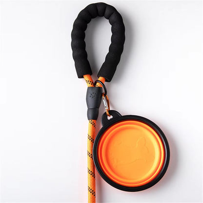 Reflective Dog Leash – Durable Safety for Night Walks