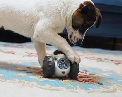 Interactive Robot Slow Feeder Toy – For Dogs & Cats