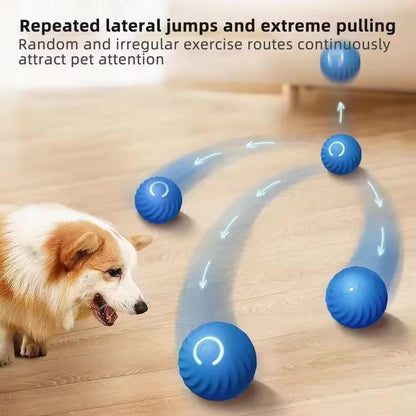 Vibrating Dog Ball Toy for Dogs & Cats – Interactive Bouncing