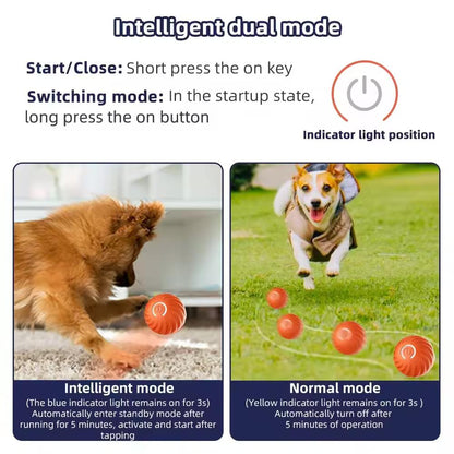 Vibrating Dog Ball Toy for Dogs & Cats – Interactive Bouncing