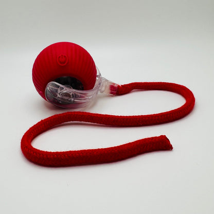 Vibrating Bouncing Ball – Interactive Toy for Cats & Dogs