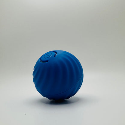 Vibrating Dog Ball Toy for Dogs & Cats – Interactive Bouncing