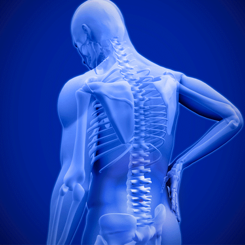 Diesel PumpMatic Super Gas Pump Fuel Transfer Pump + 3 Power Sources w/ 4.25ft Hose Siphon