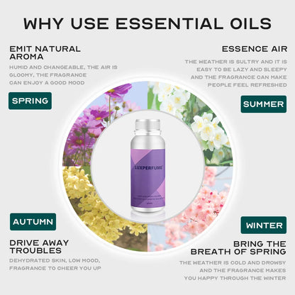 Diffuseur d'huiles essentielles 100 ml, Collection hôtel, Huile aromatique, Désodorisant pour voiture, Parfum, Humidificateur pour la maison et le bureau