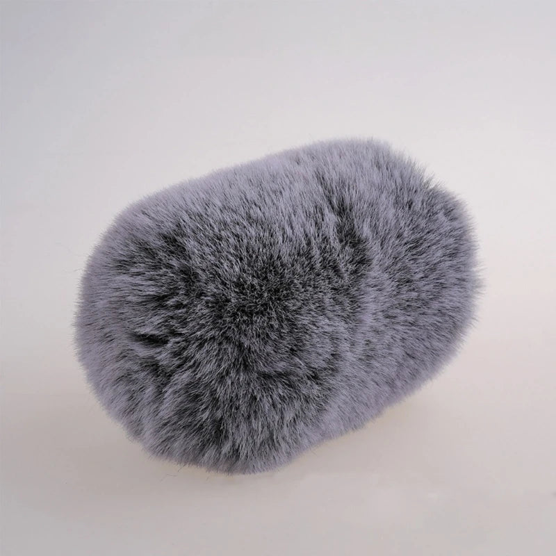 Bonnette anti-vent en fourrure pour microphone, protection anti-vent, filtre anti-pop pour microphone AT2020