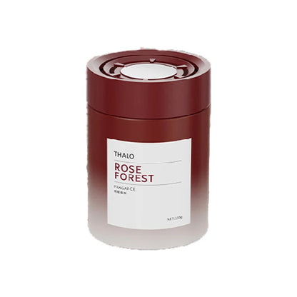 Aromathérapie légère spécifique aux voitures de luxe, élégante et fraîche, désodorisante et parfumée, aromathérapie automobile haut de gamme