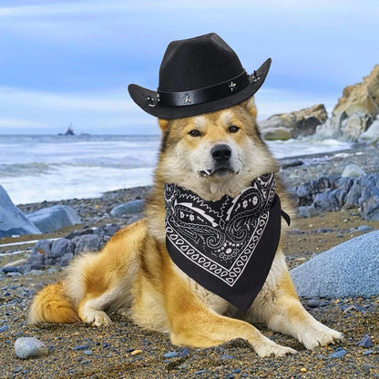 1 ensemble chien chat taille animal de compagnie chapeau de cowboy et bandana écharpe West accessoires pour chats chiens fête festival port quotidien