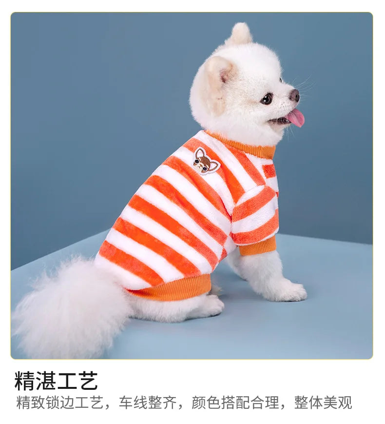 Vêtements pour animaux de compagnie à rayures arc-en-ciel d'automne et d'hiver, vêtements mignons et chauds pour chats en peluche, fournitures pour chiens, sweat à capuche pour chien, costume Schnauzer