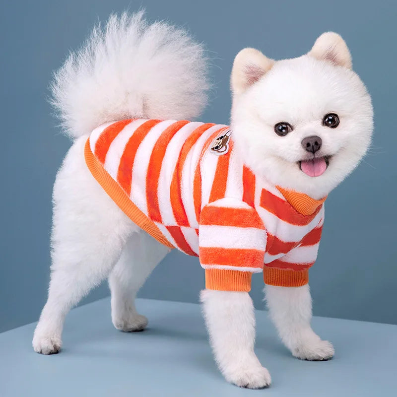 Vêtements pour animaux de compagnie à rayures arc-en-ciel d'automne et d'hiver, vêtements mignons et chauds pour chats en peluche, fournitures pour chiens, sweat à capuche pour chien, costume Schnauzer