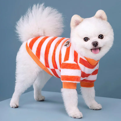 Vêtements pour animaux de compagnie à rayures arc-en-ciel d'automne et d'hiver, vêtements mignons et chauds pour chats en peluche, fournitures pour chiens, sweat à capuche pour chien, costume Schnauzer