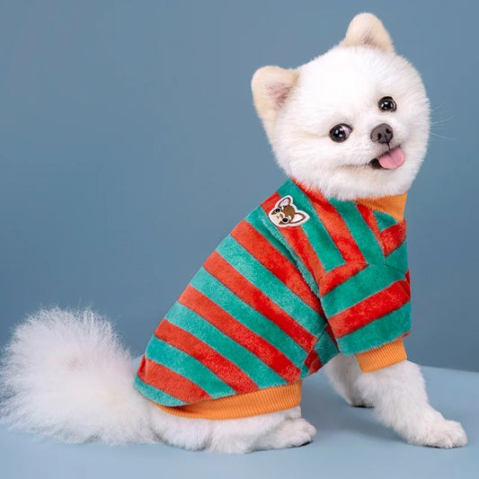 Vêtements pour animaux de compagnie à rayures arc-en-ciel d'automne et d'hiver, vêtements mignons et chauds pour chats en peluche, fournitures pour chiens, sweat à capuche pour chien, costume Schnauzer