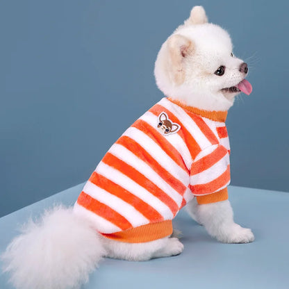 Vêtements pour animaux de compagnie à rayures arc-en-ciel d'automne et d'hiver, vêtements mignons et chauds pour chats en peluche, fournitures pour chiens, sweat à capuche pour chien, costume Schnauzer