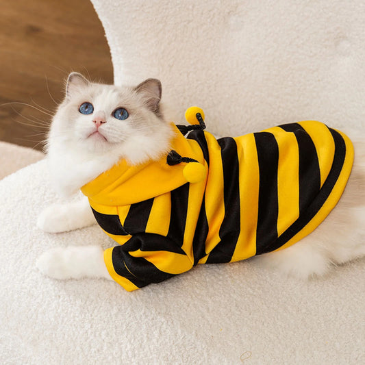 Costume de chat, abeille, costume d'Halloween, vêtements pour petits animaux, mode, adorables sweats à capuche pour chats