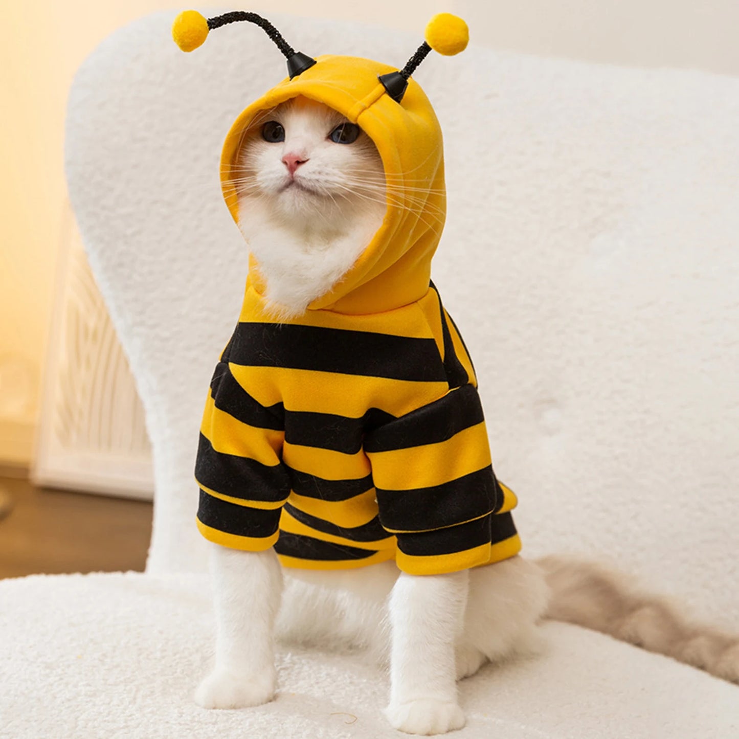 Costume de chat, abeille, costume d'Halloween, vêtements pour petits animaux, mode, adorables sweats à capuche pour chats
